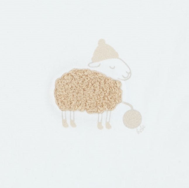 Fuzzy Sheep Blanket